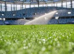 金宝博,体育,产品,金宝博188bet体育官网,金宝博188bet体育平台,金宝博188bet体育链接,金宝博188bet体育官方