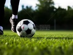 金宝博,体育,产品,金宝博188bet体育官网,金宝博188bet体育平台,金宝博188bet体育链接,金宝博188bet体育官方