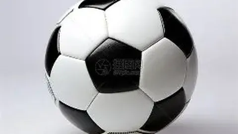 徐根宝深情关怀兄弟，为武磊送上诚挚祝福，家人支持成其坚实依靠