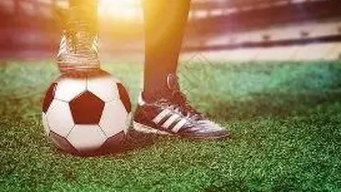 中国乒乓球协会第九届理事会首场会议举行，马龙获选为运动员委员会主任