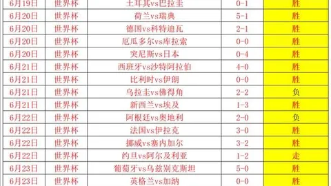 金宝博191体育 114125